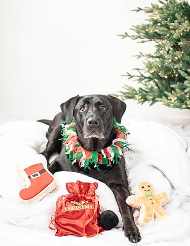 Miniatura 3 de Midlee Juguete de peluche navideño para perros (hombre de jengibre, grande)