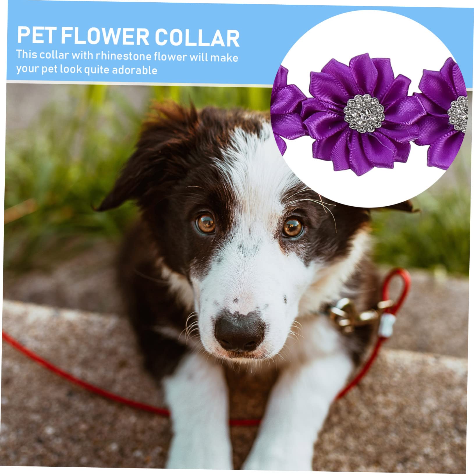 Angoily 3 Set Di Collari Per Cani Con Personalizzati Con Motivo Floreale Per Feste Matrimoni E Festival 12 Pezzi * 3