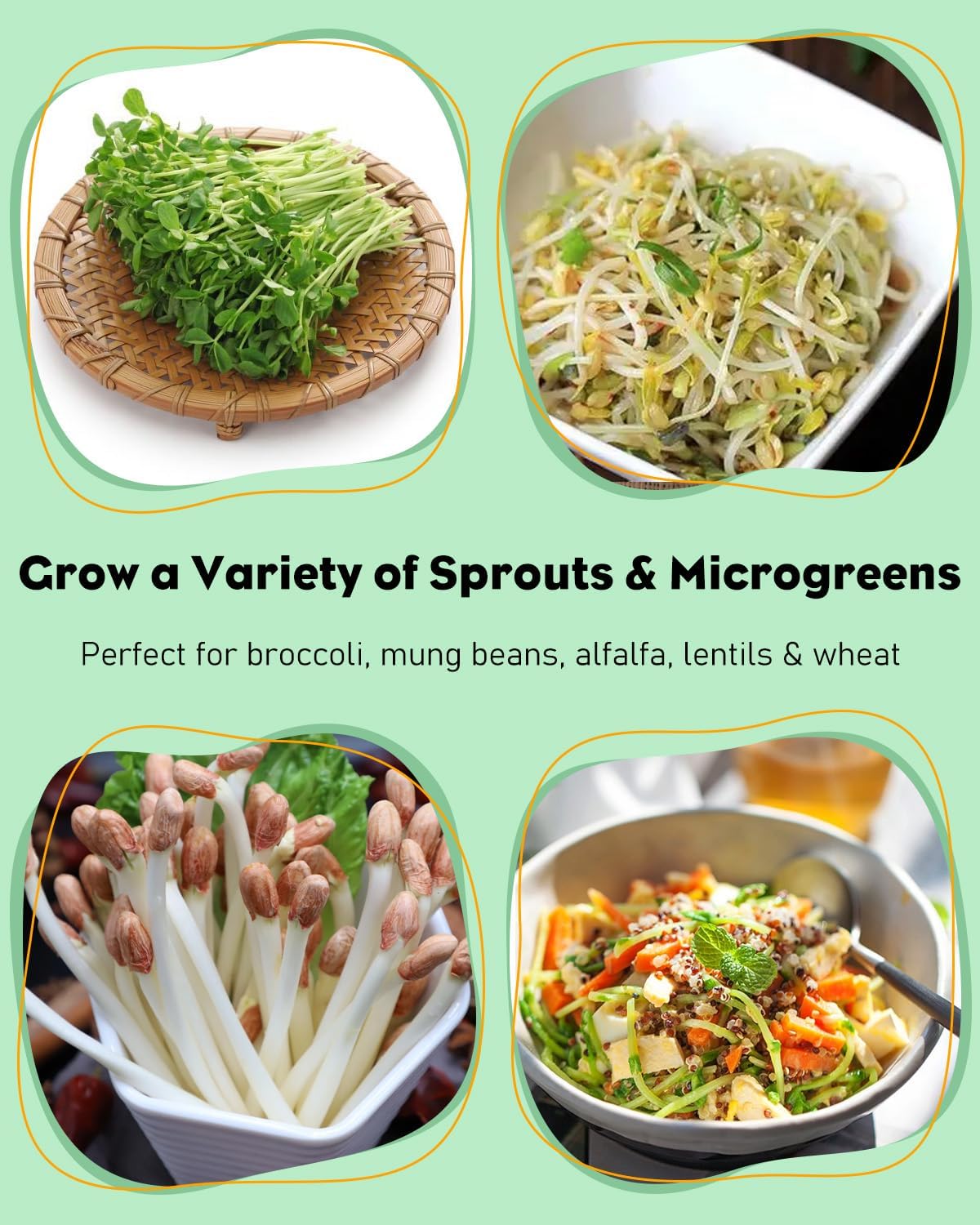Pawfly Sprouting Kit, Wide Mouth 1 Quart (1000 mL) Mason Jars, Sprouting Jar Kit with Stainless Steel Mesh Sprouting Lids, Sprouts Growing Kit, Seed Sprouter for Broccoli, Mung Bean & Alfalfa