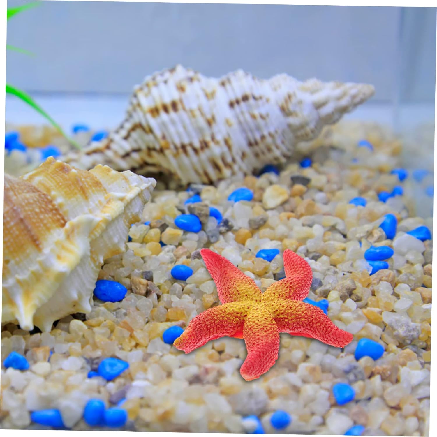 5sets Mini Coral Air Jellyfish Canister Heater Sponge Fish Pump Sea Net Aquarium Pump Kit Pond Reef Tank Cup Water Container Chiller Decor Feeder Fish Bowl Res