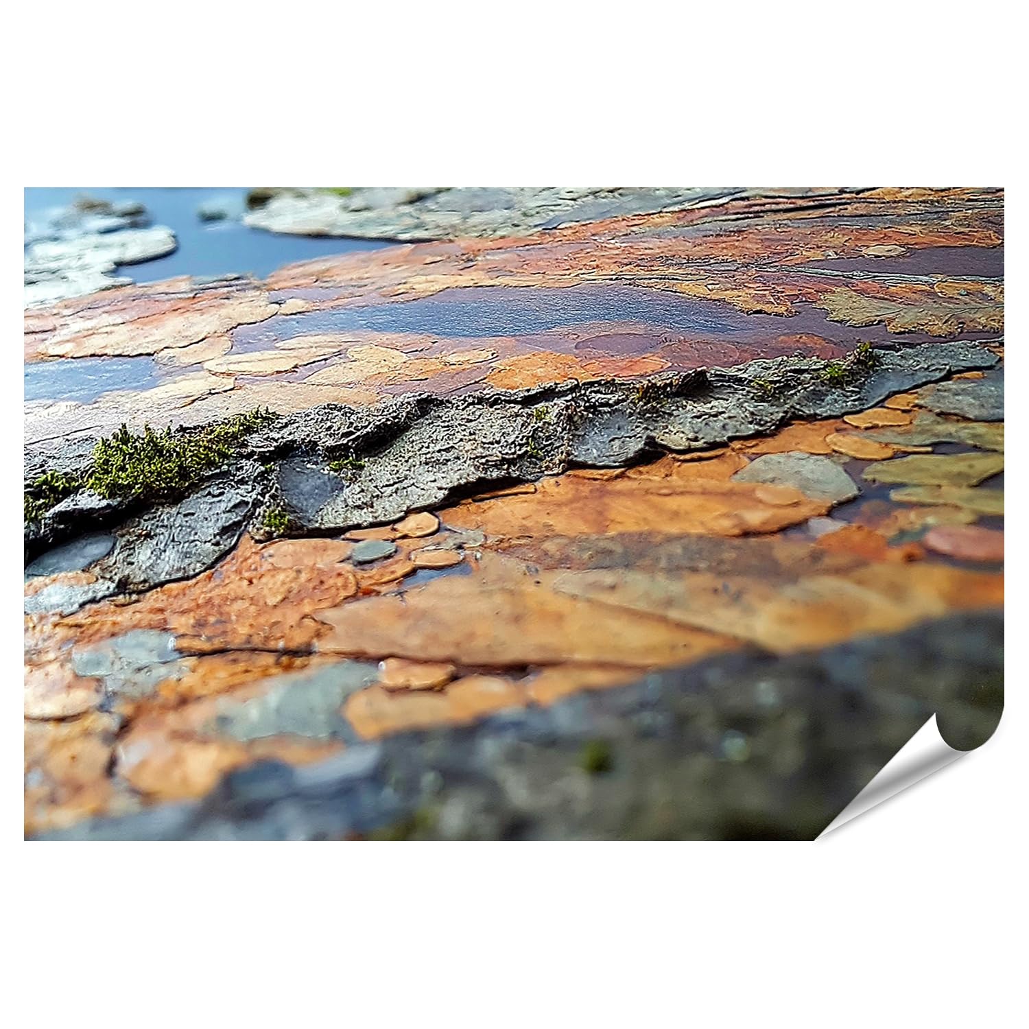 Poster textures naturelles islandburner grand format déco salon - 6