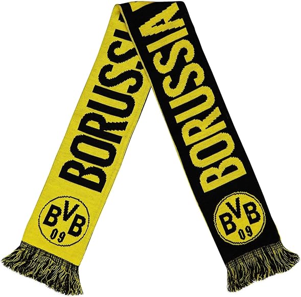 bvb schal