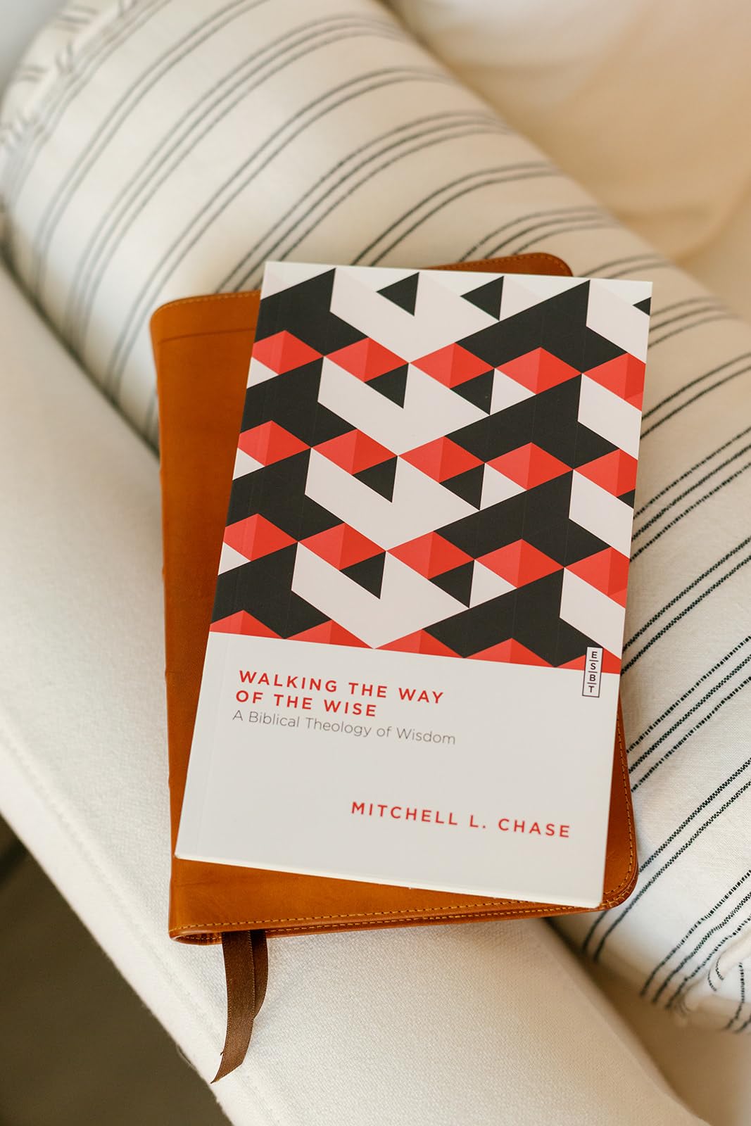 Walking the Way of the Wise: A Biblical Theology of Wisdom (Essential Studies in Biblical Theology) - Image 6