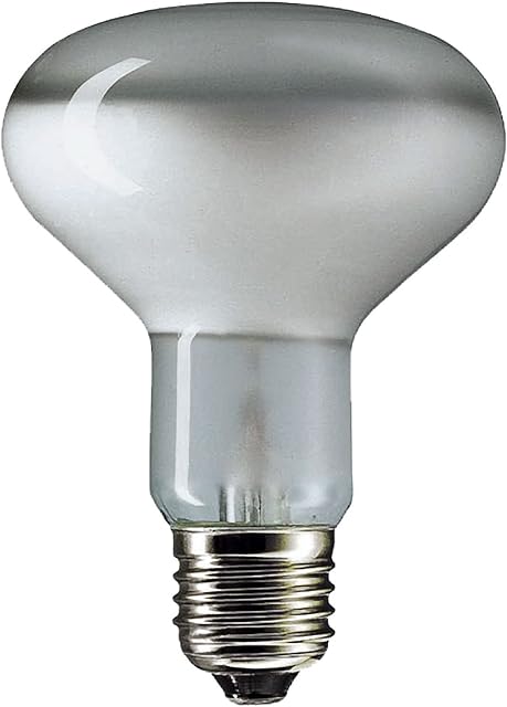 10 x 100w ES,E27 R80 Spotlight Bulb