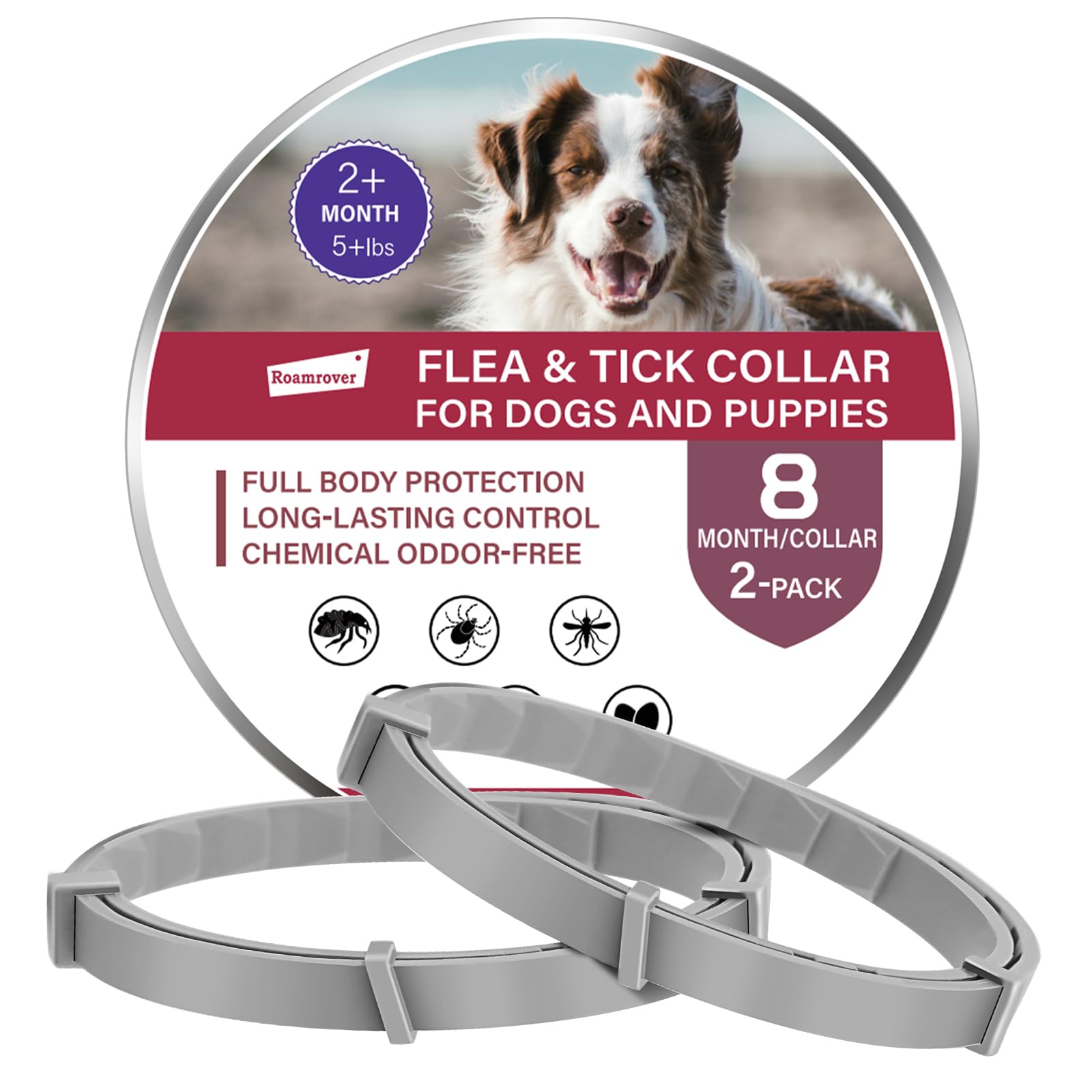 2er-Pack Zeckenhalsband für Hunde – Natürliches Ätherisches Öl, Wasserdicht & Verstellbar für Welpen und Hunde ab 8 Wochen, 16 Monate Schutz – Sicher mit Pflanzlichen Inhaltsstoffen