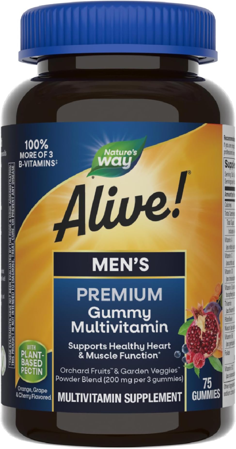 Alive! Men's Gummy Multi Vitamin, 75 ct