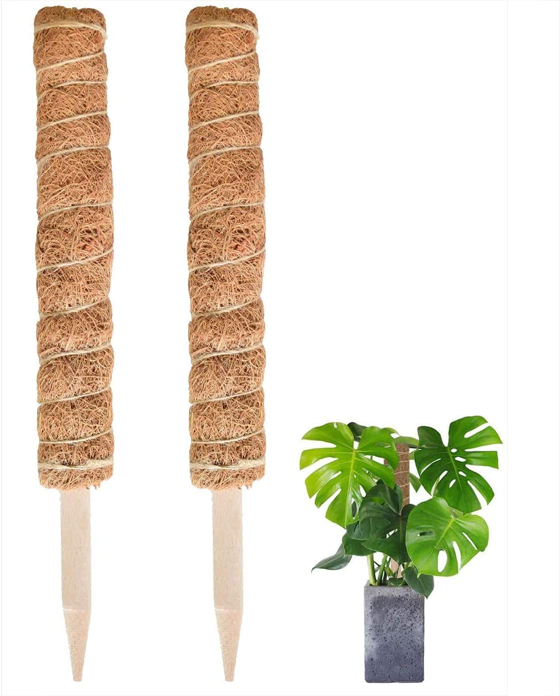 Plant Support Pole - 2 Pack 16 Inches Coco Coir Totem Poles - Support Indoor Plants to Grow Upwards - Use Moss Poles Stick for Creepers