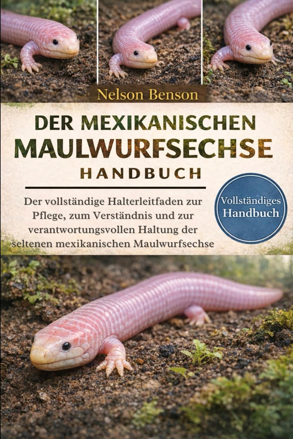 DER MEXIKANISCHEN MAULWURFSECHSE HANDBUCH: Der vollständige Halterleitfaden zur Pflege, zum Verständnis und zur verantwortungsvollen Haltung der seltenen mexikanischen Maulwurfsechse