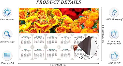 Miniatura 3 de Calendario magnético 2023  Imán de calendario  Today is my Lucky Day  Edición #13