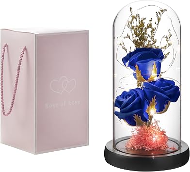 Preserved Flower Gift, Light Up Rose in Glass Dome, Eternal Forever Rose Flower Gifts for Her, Grandma, Mothers Day, Valentines Day, Anniversary, Birthday, Christmas Decorations, Blue