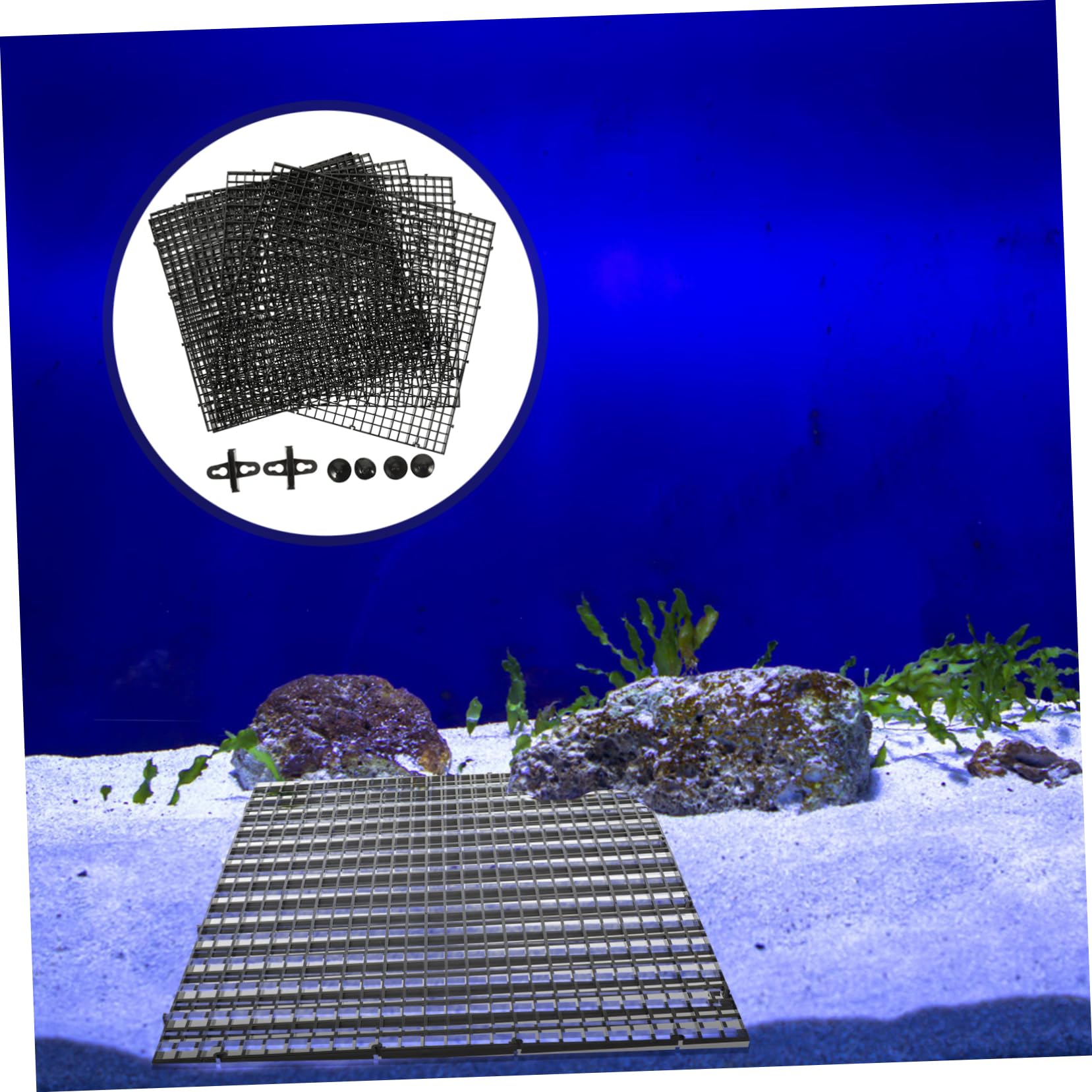 BESTonZON Plaques de Séparation pour Aquarium avec Ventouses Plaques de Filtration pour Fond de Bac Séparateurs Modulables pour Isolation et Protection des Poissons