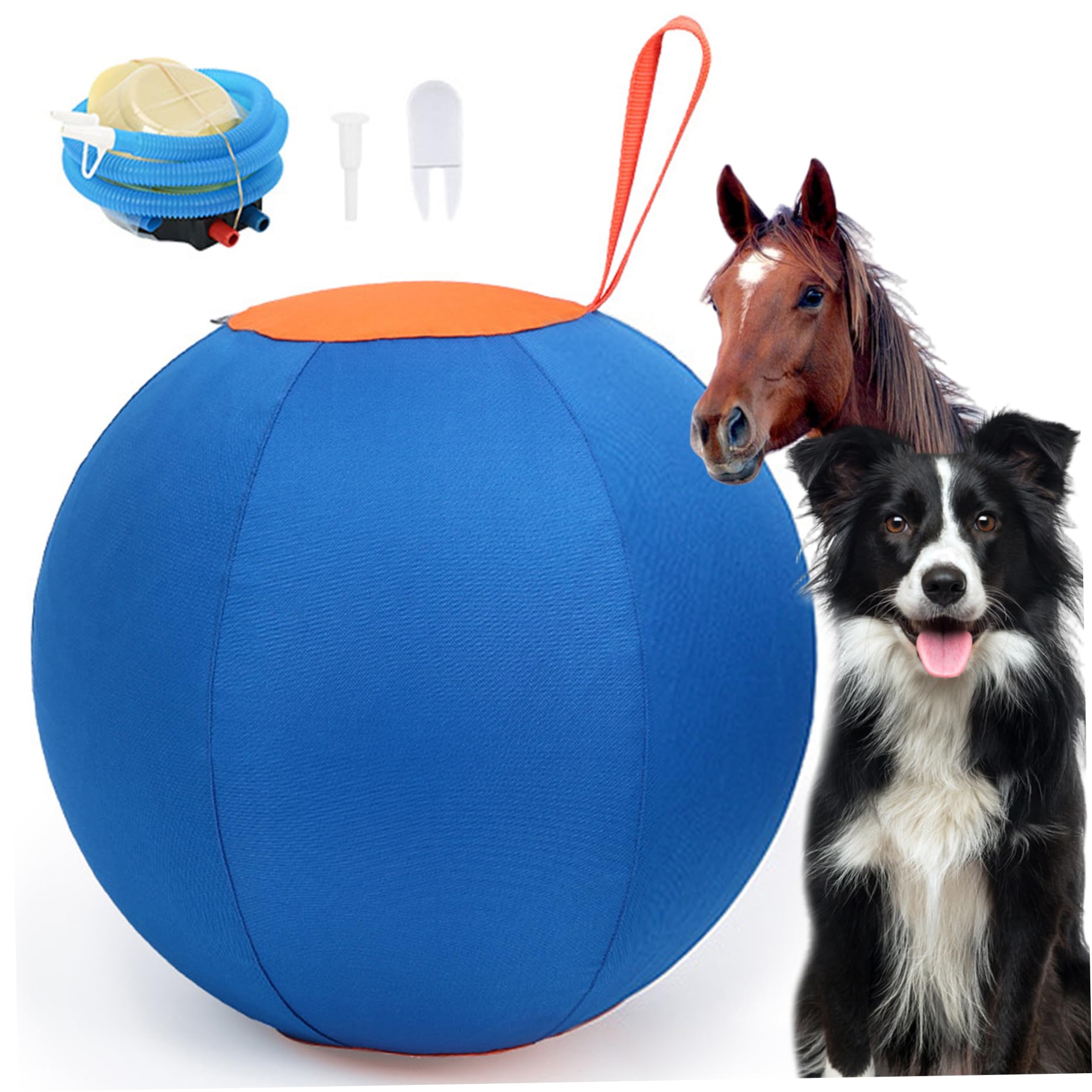 Balle de troupeau pour chiens et jeux de chevaux en plein air