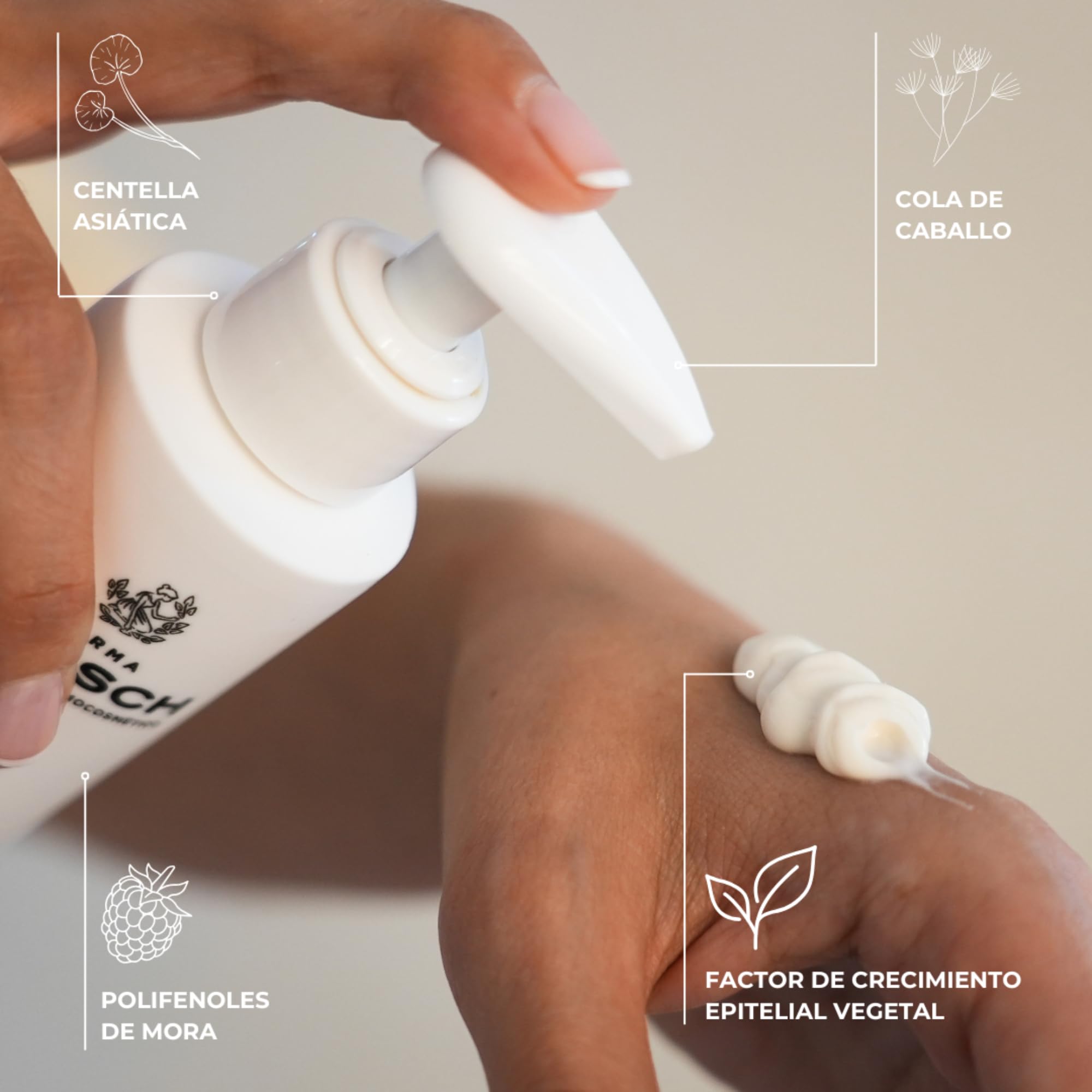 FARMA DORSCH - PUSH UP | Crema Reafirmante | Cuello, Escote, Brazos, Piernas, Senos y Glúteos | Tonifica, Aumenta Firmeza y Previene Estrías | Hidratación y Antioxidante | 200 ml