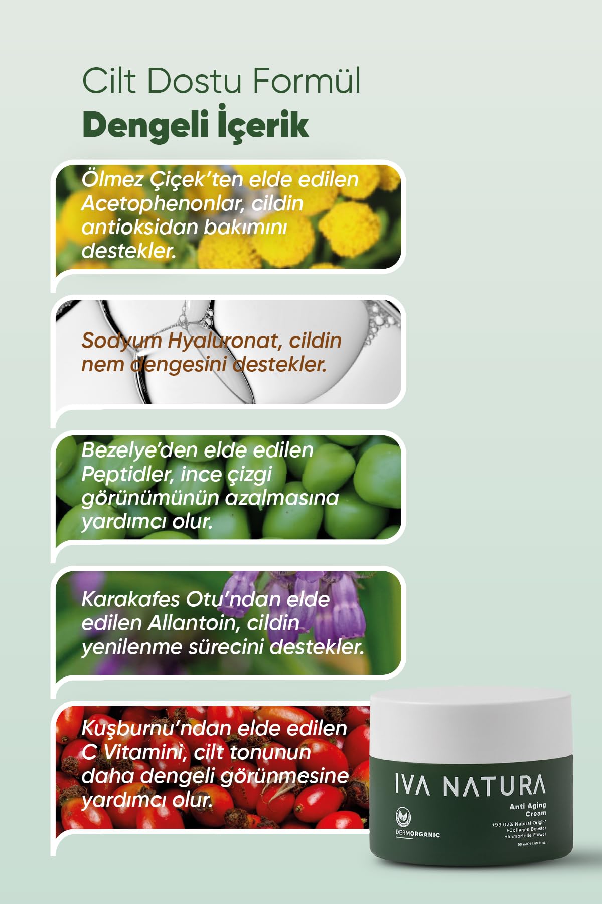 İva Natura Organik Anti-Aging Krem Ölmez Çiçek & Bitkisel Pro-Kolajen Destekli – 50 ml