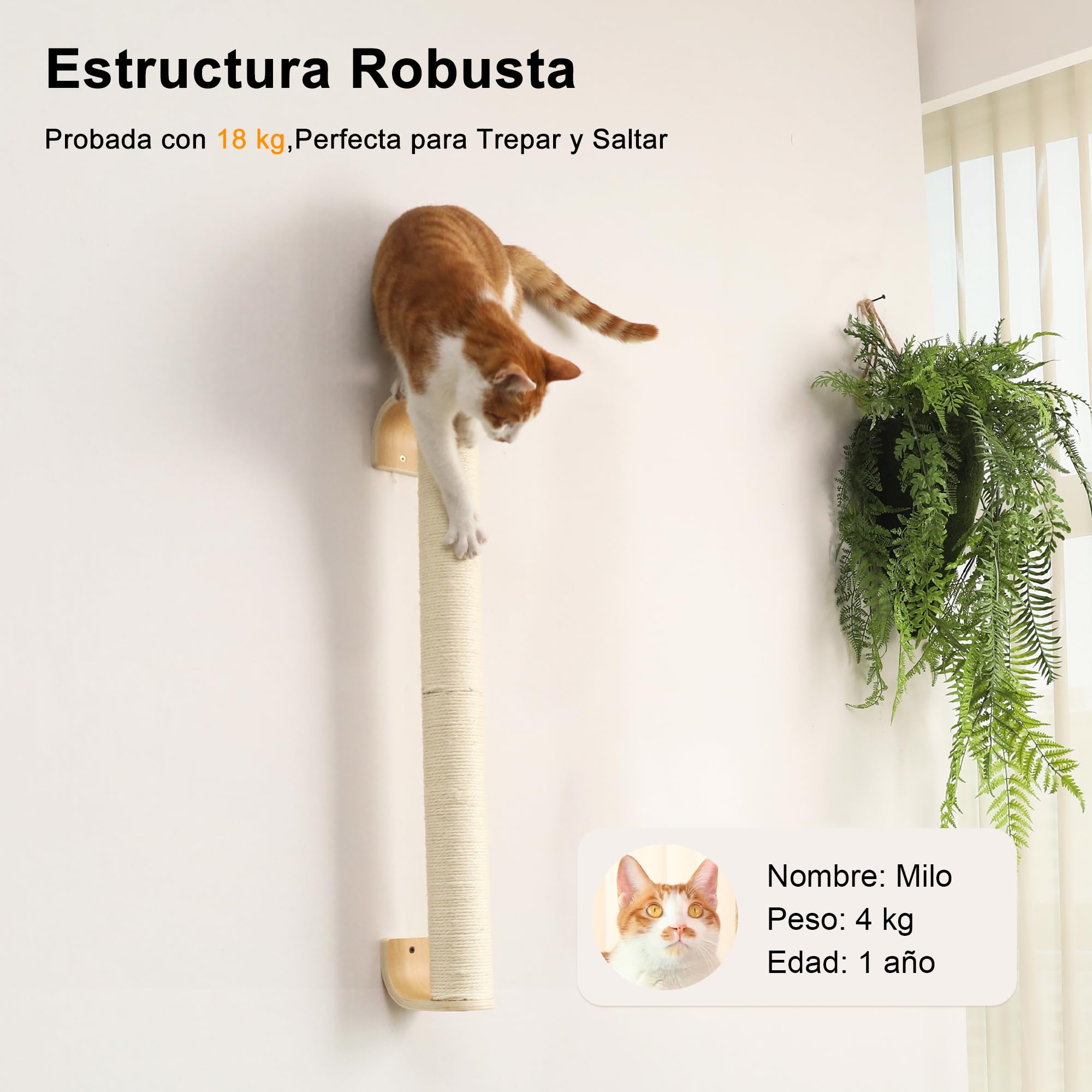 FUKUMARU Poste rascador para Gatos de Pared, rascador de 71 cm para Montaje en Pared, rascador de Pared Estable de sisal