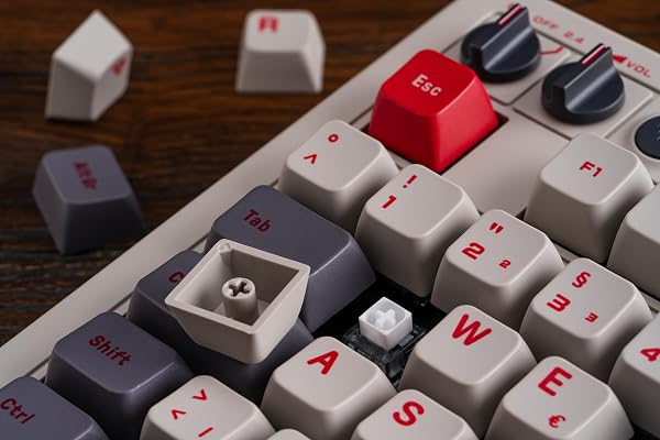 8Bitdo Retro Mechanical Keyboard, Bluetooth/2.4G/USB-C Hot Swappable Gaming Keyboard with 87 Keys, Dual Super Programmable Buttons for Windows and Android - QWERTZ German ISO Layout - 5