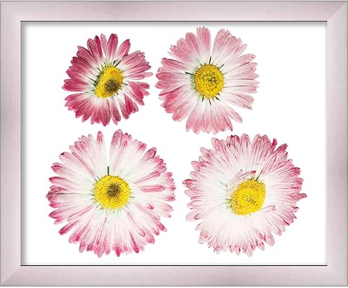 Miniatura 6 de 8x10 Silver Shadowbox Frame - Shadow Box Frame Interior Size 8x10 by 2 Inches Deep - Silver Frame Is Made to Display Items Up To 1.75 Inches Deep!