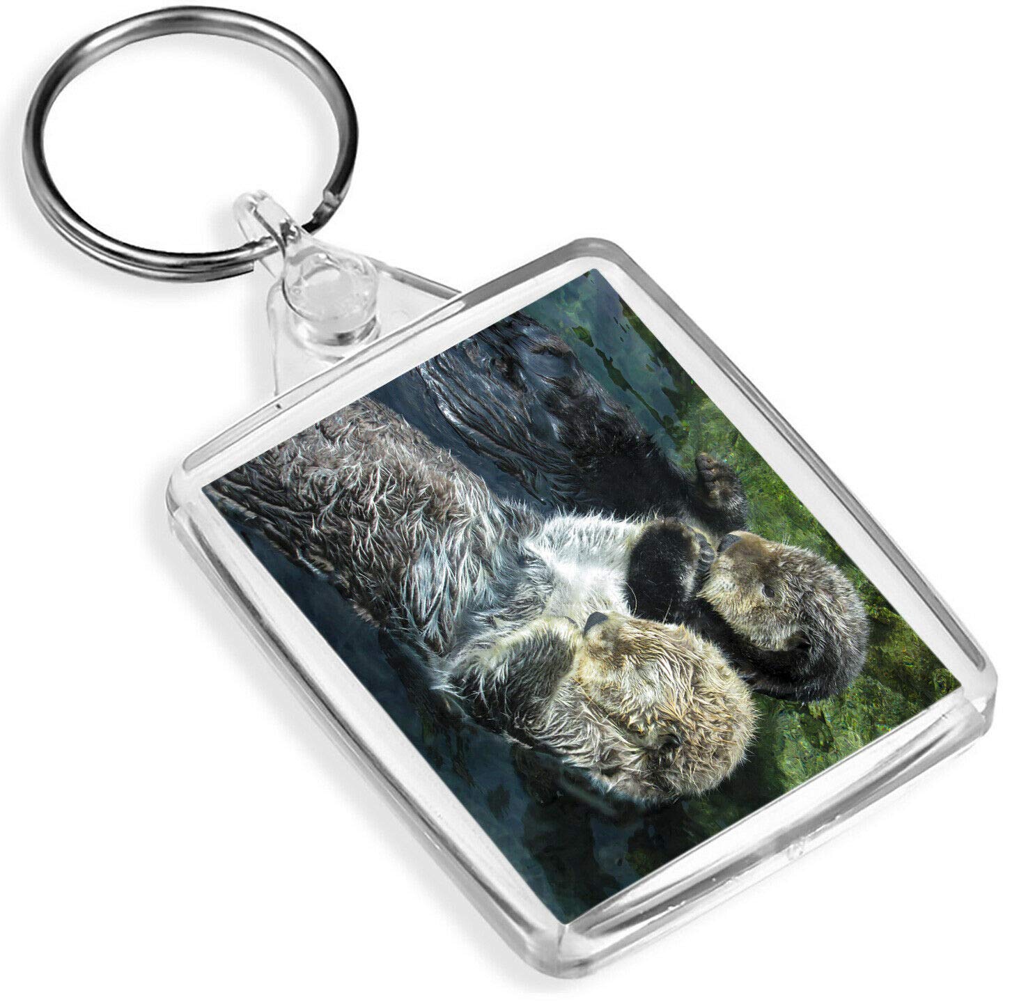 Destination Vinyl Keyrings Unisex Multi Beautiful Otter Couple Keyring - Ip02 - Wild Animal Nature Paws #16435