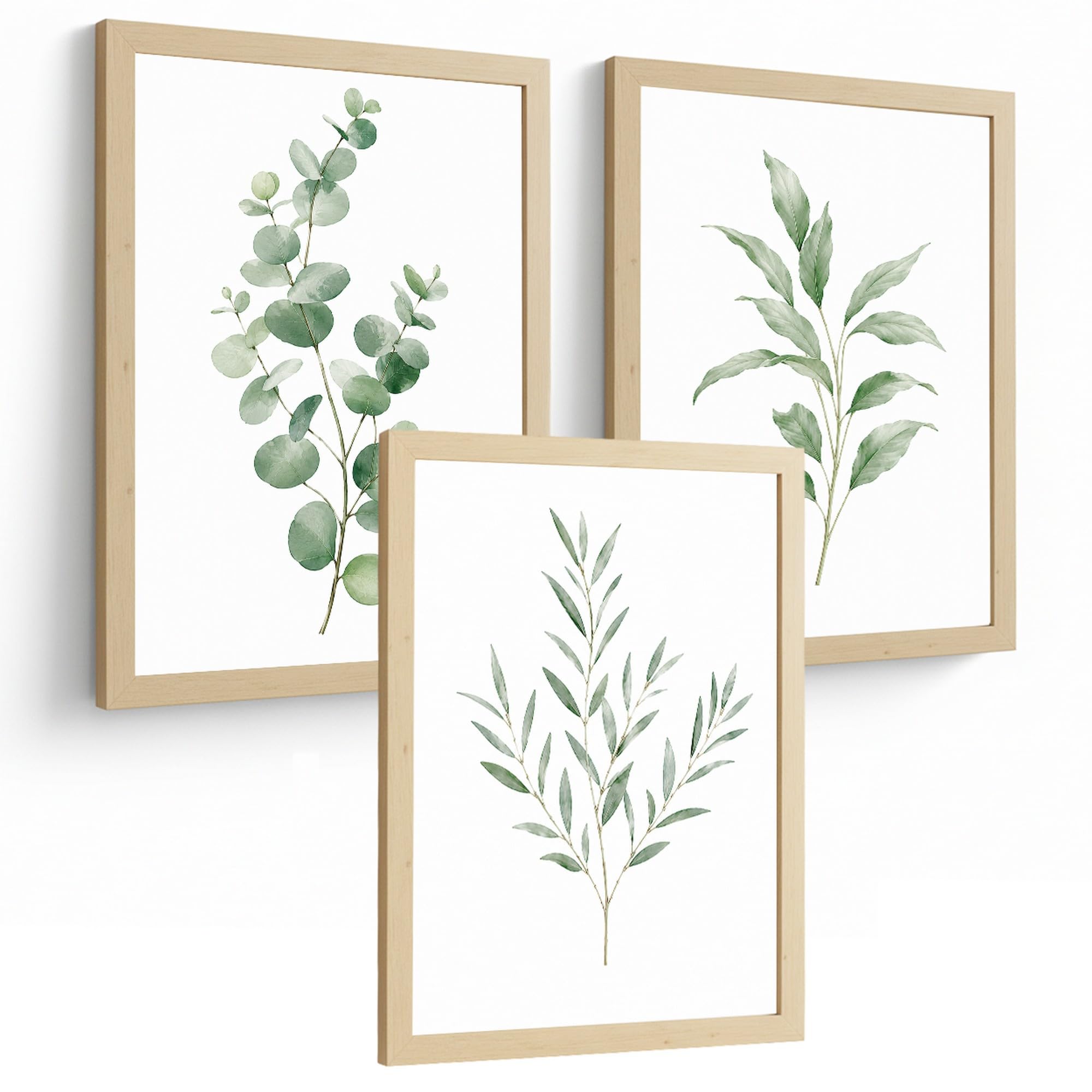 Botanical Posters with Eucalyptus and Sage Green Leaf Art