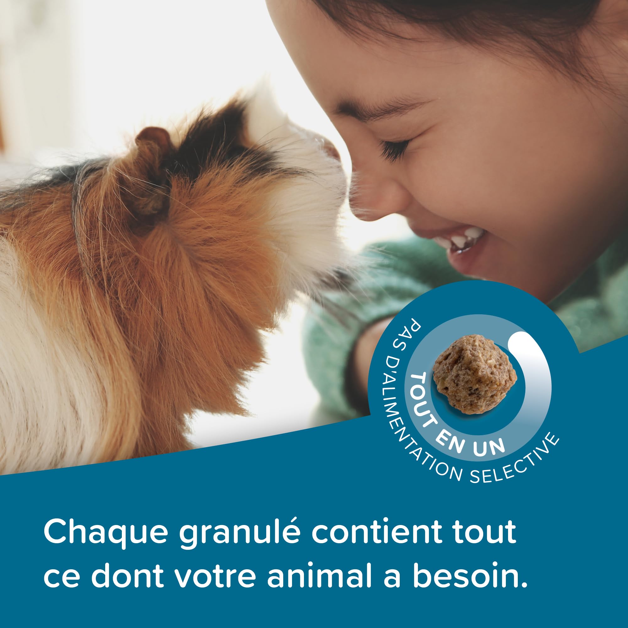 BEAPHAR – Care+ – Alimentation Super Premium extrudée pour Cochon d'Inde – Contient de la Vitamine C et 21% de Fibres – sans sucres ajoutés – 1.5kg,Lot de 1