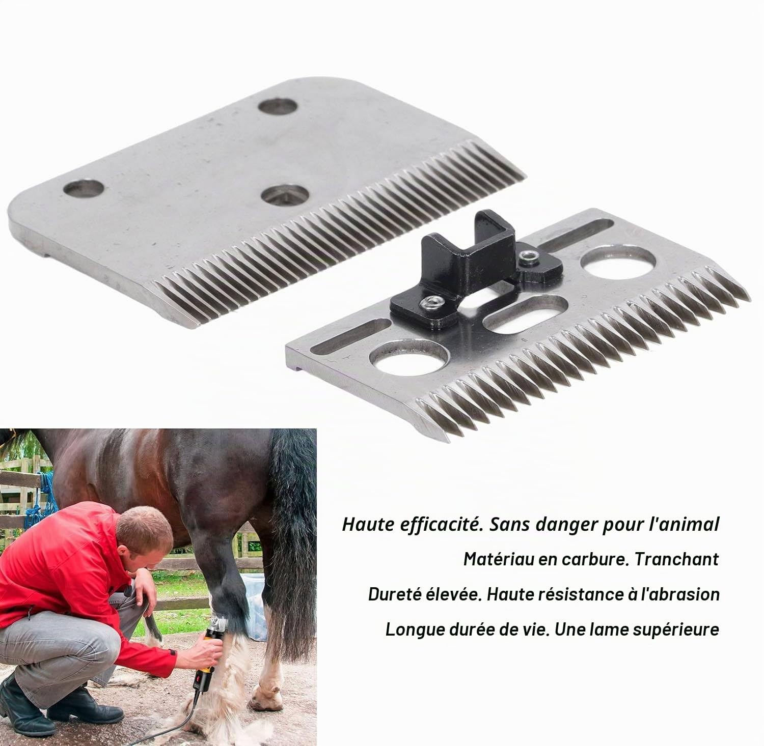 Fyearfly Tondeuse à Mouton 35 Dents - Lame de Cisaillement pour Toilettage de Chevaux, Bétail Domestique, Chèvres et Agneaux