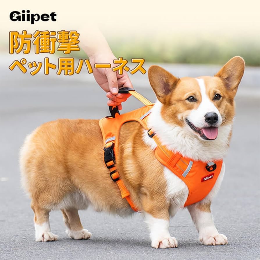 Amazon | GIIPET-犬用ハーネス リード付き 2-45KG対応 犬用胴輪