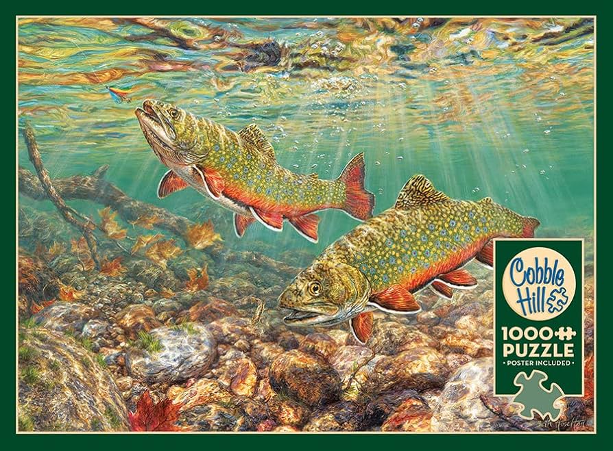 ロバート・バイエリー ルック アウト 1000ピース 72x49cm パズル ロバート・バイエリー ルック アウト 1000ピース 72x49cm パズル