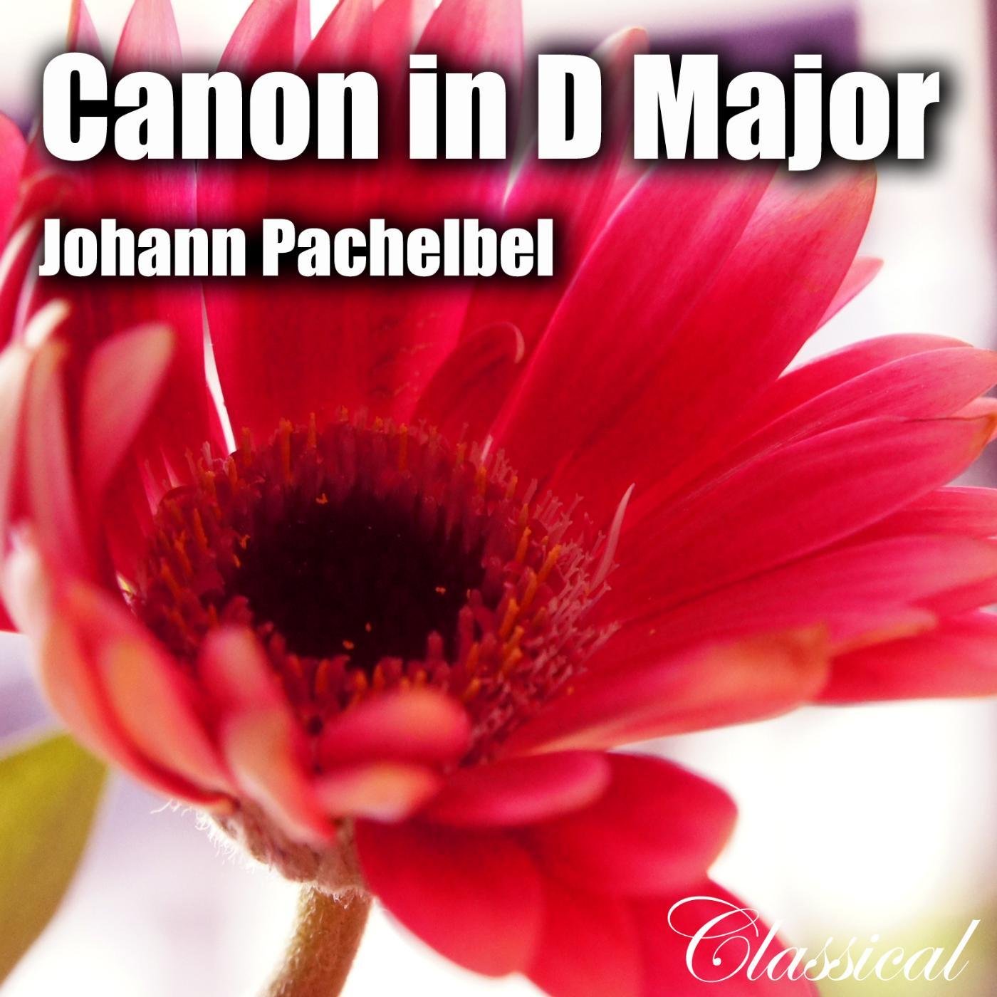 Pachelbel Canon in D Major