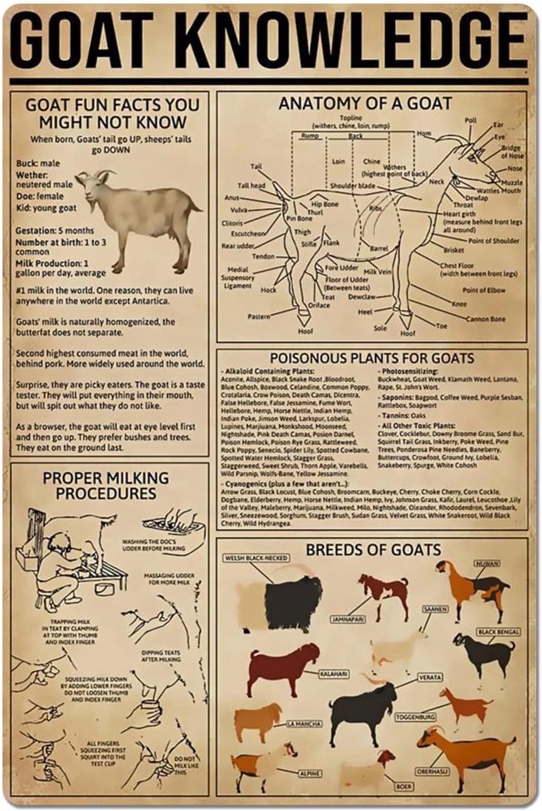 12x16 IN Goat Knowledge Metal Tin Sign Anatomy of A Goat Infographic Tin Poster Retro Farm Home Kitchen Restaurant Club Home Wall Decoration es