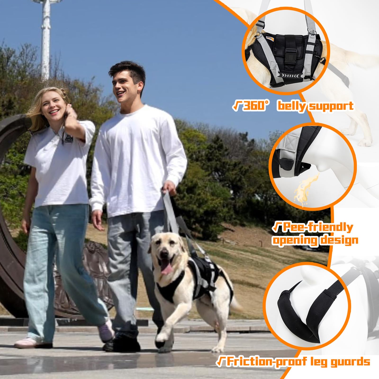 Arnés de elevación para perros grandes, transportador de cuerpo completo con asa, para soporte de patas traseras, lesiones articulares de perros, artritis (XL)
