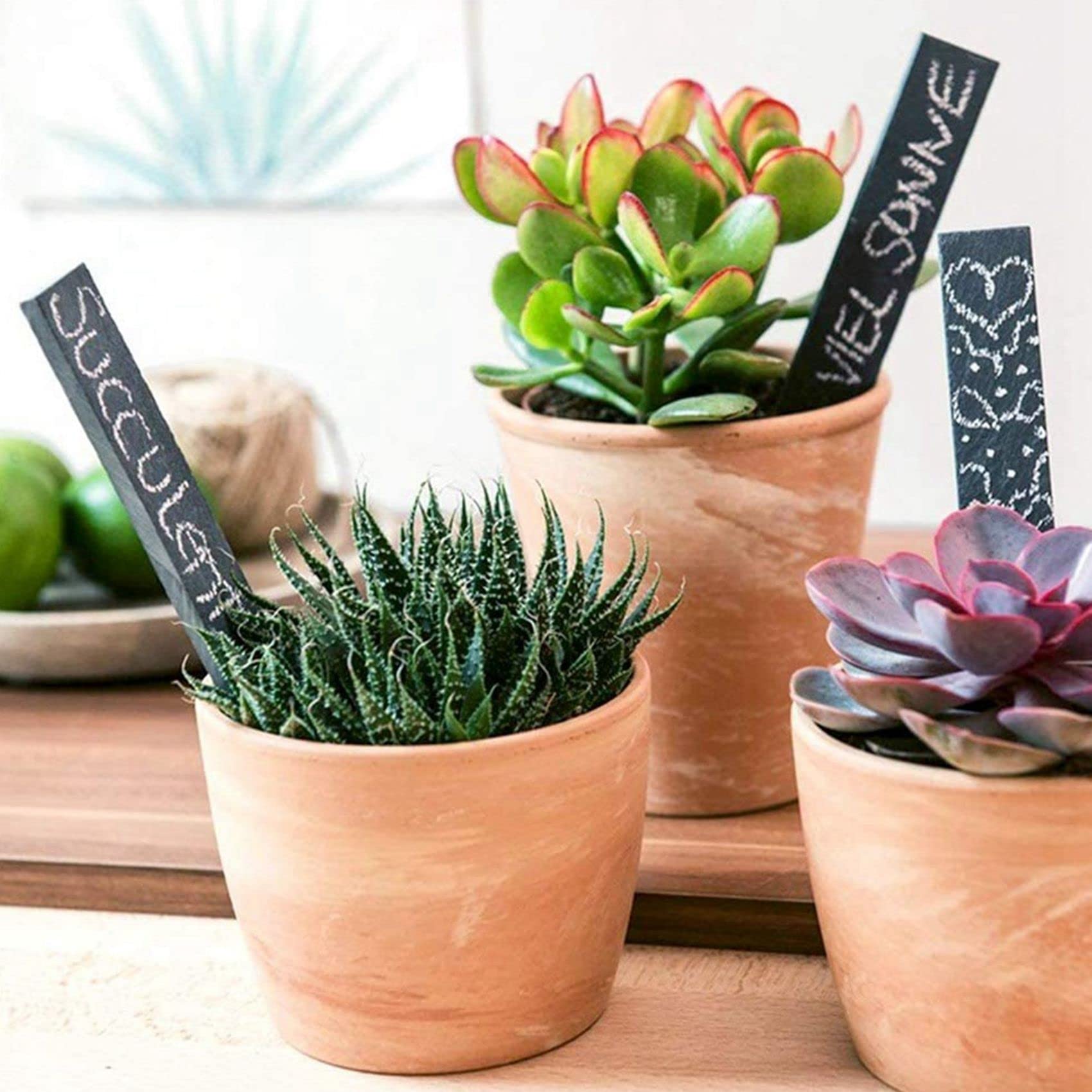VENOAL Marqueurs D'étiquettes de Plantes En Ardoise étiquettes de Jardin étiquettes pour Légumes Ou Herbes 15X2cm, 30 Pièces