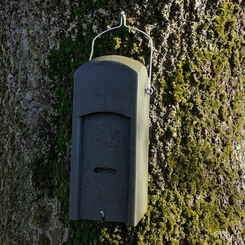 Fledermaus-Kuppelhöhlel aus Holzbeton - Sommerkasten für Fledermäuse - Winternisthöhle für Fledermäuse - Winterquartier - Sommerquartier
