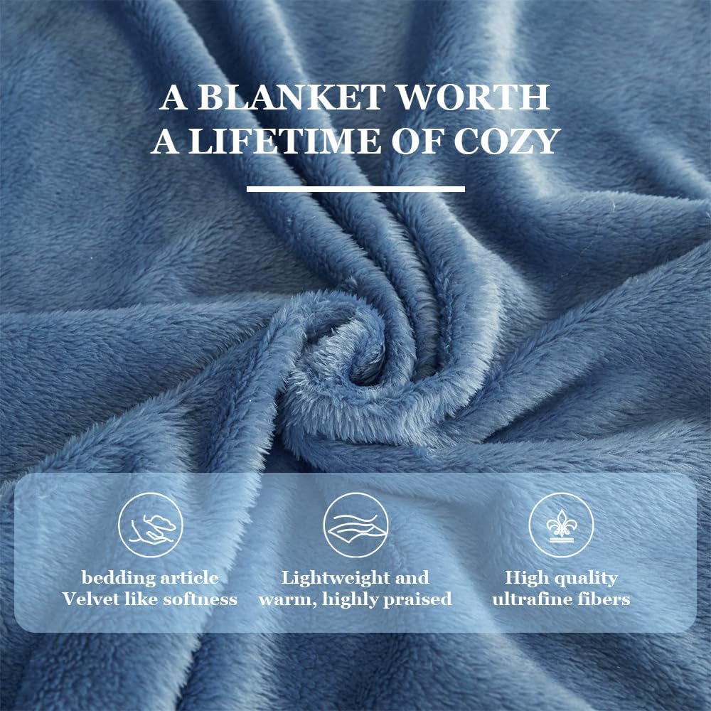 Milk Velvet Blanket for Couch - Lightweight Plush Fuzzy Cozy Soft Blankets and Throws for Sofa (Sky Blue, King（108”x90“）)