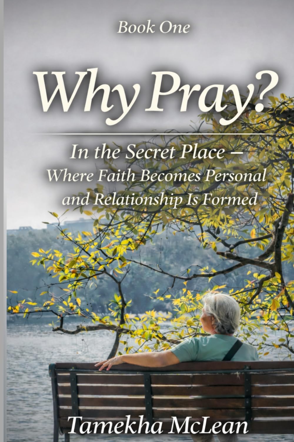 Why Pray?: In the Secret Place - Where Faith Becomes Personal: 1 (A Life Formed in Prayer)