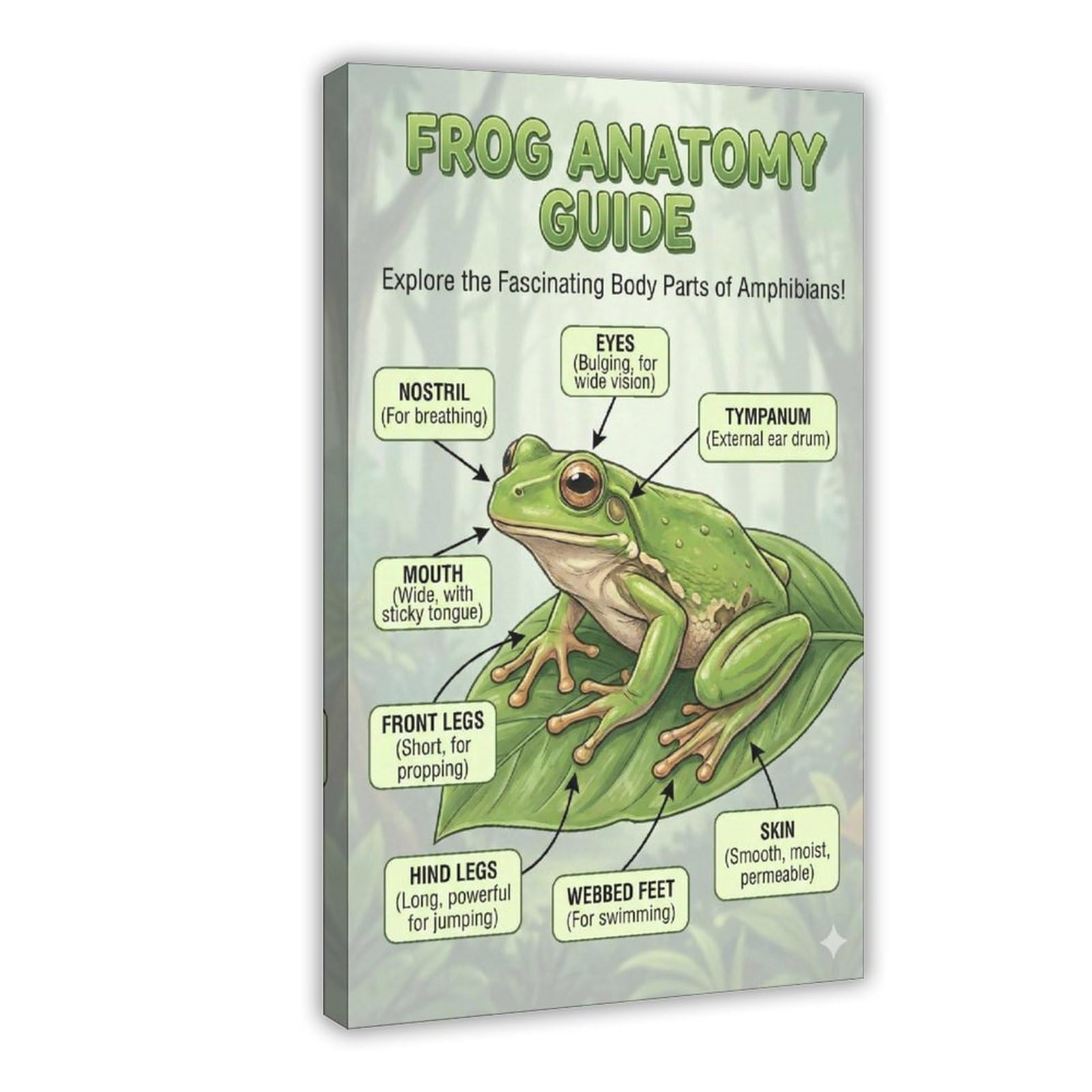 Bareronor Frog Canvas Poster for Dorm Room Decor Gift