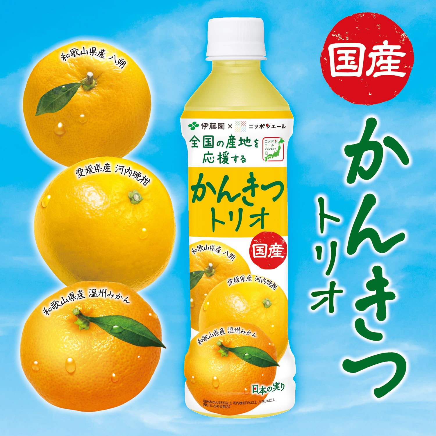 かんかんさん専用 KR25INF485_12.jpg