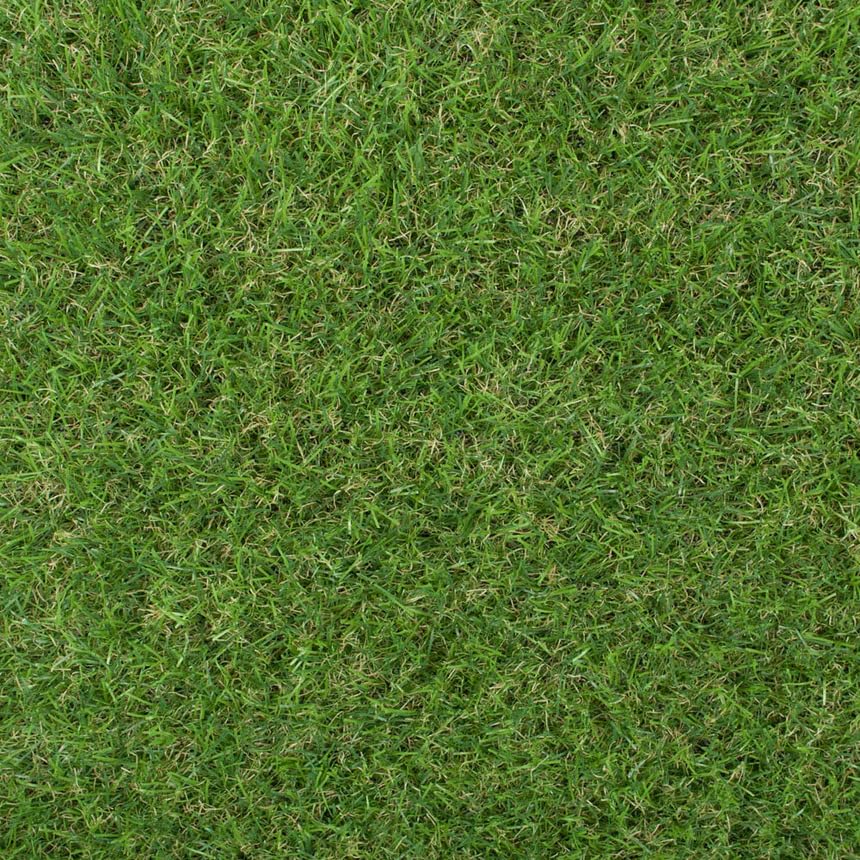 eXtreme Gardenia 30mm Artificial Grass - Lawn Astro Turf - Realistic Garden Fake Grass, Low Maintenance, Lead & Cadmium Free, Child & Pet Safe