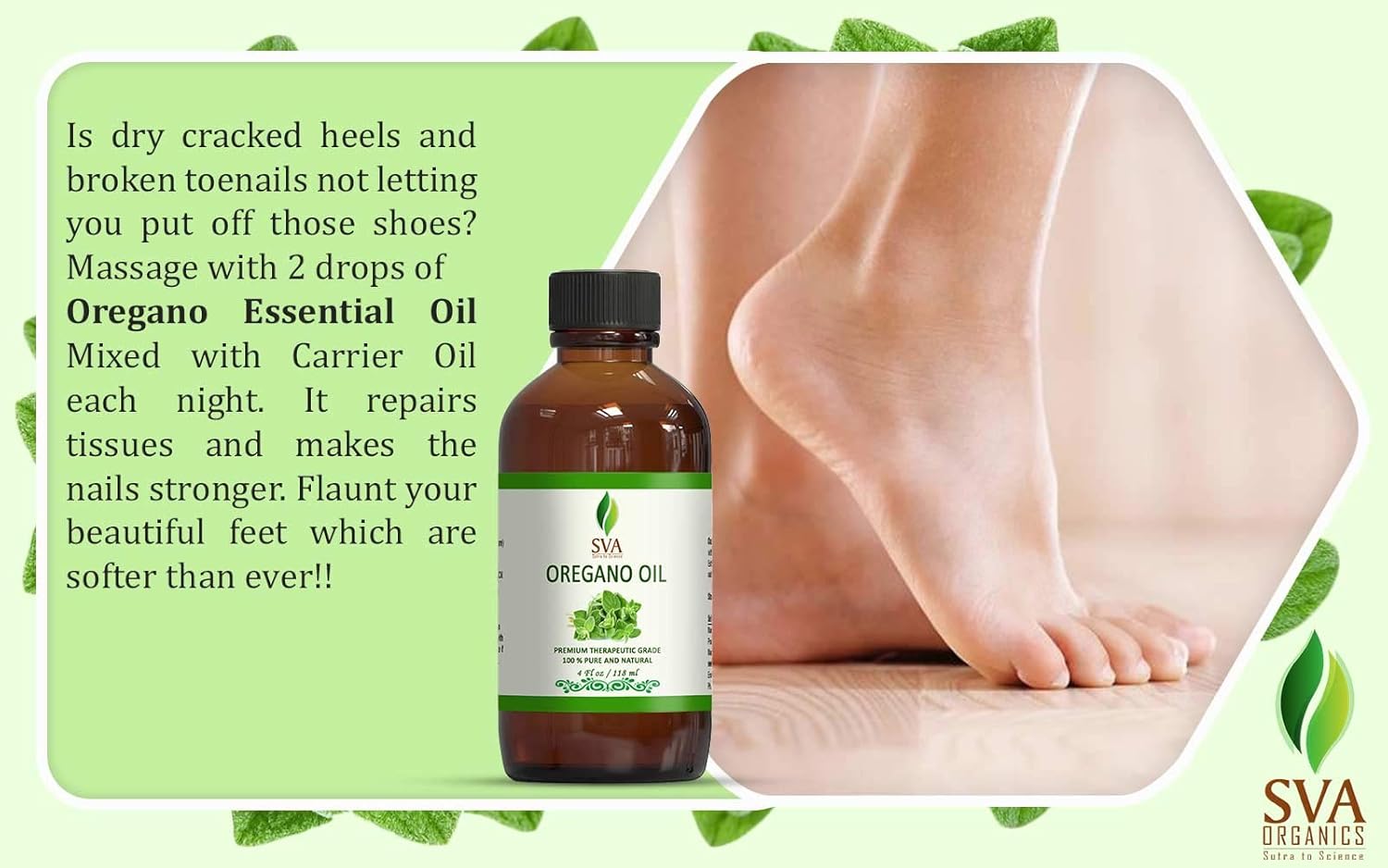 SVA Organics Oregano Essential Oil | Very Strong | 4 OZ (118 ML) - 100% Pure, Natural, Premium Therapeutic Grade for Overall Wellness and Health, Massages, DIY products, complete body care. SVA Organics Oregano Essential Oil | Very Strong | 4 OZ (118 ML) - 100% Pure, Natural, Premium Therapeutic Grade for Overall Wellness and Health, Massages, DIY products, complete body care.