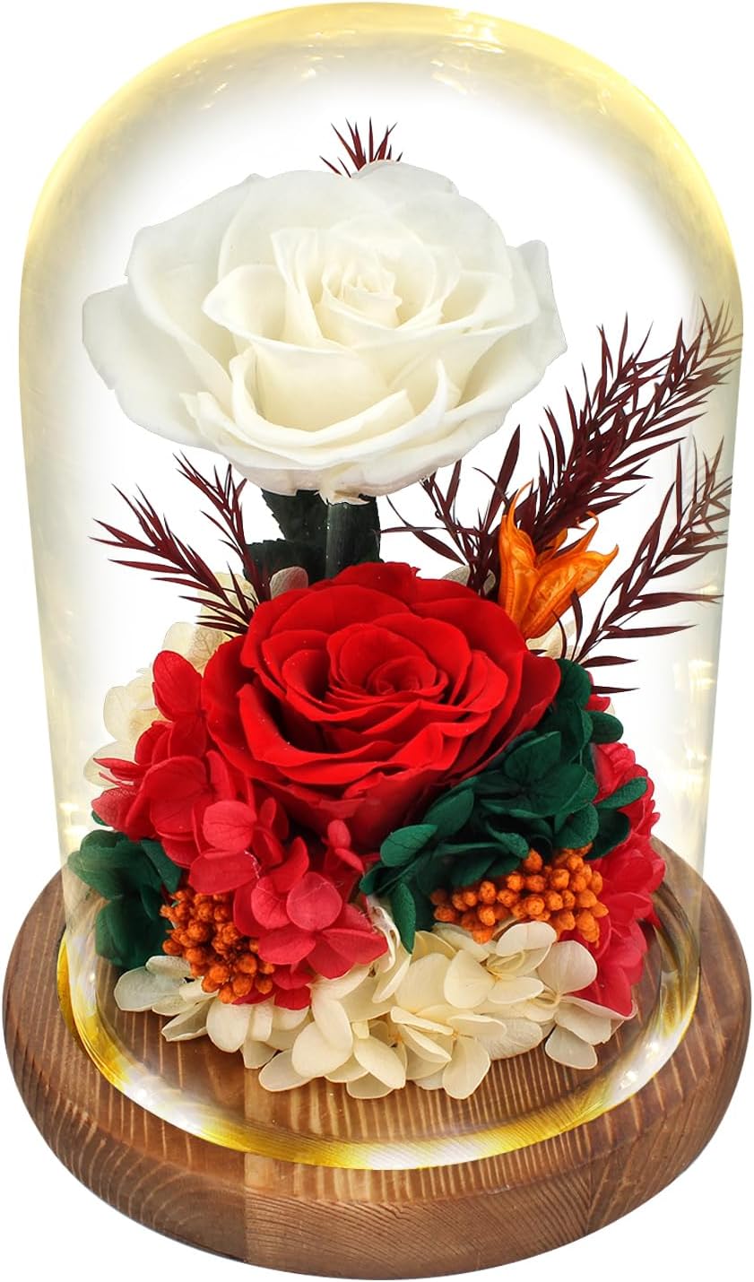 Regalo FlorReal Flowers Roses Gift Women - Perfect Long-Lasting Floral Gift Love & All Occasions-Fresh Flowers Prime Delivery - Ideal Birthday, Valentine's, Mother's Day, Get Well, Home Décor