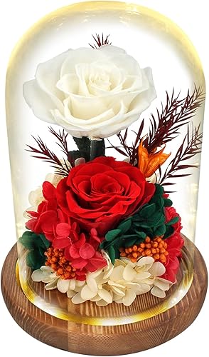 Regalo de rosas de flores reales para mujer, regalo floral perfecto de larga duración para el amor y todas las ocasiones, flores frescas para