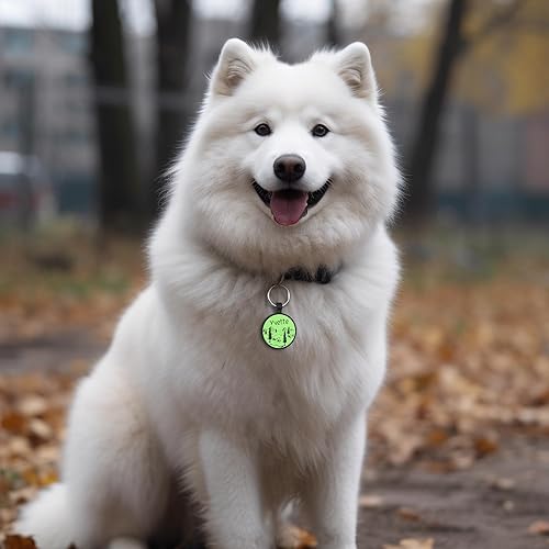 Miniatura 7 de Placa de identificación silenciosa de silicona para perro, no más tintineos y resistente al agua, etiqueta de identificación personalizada para