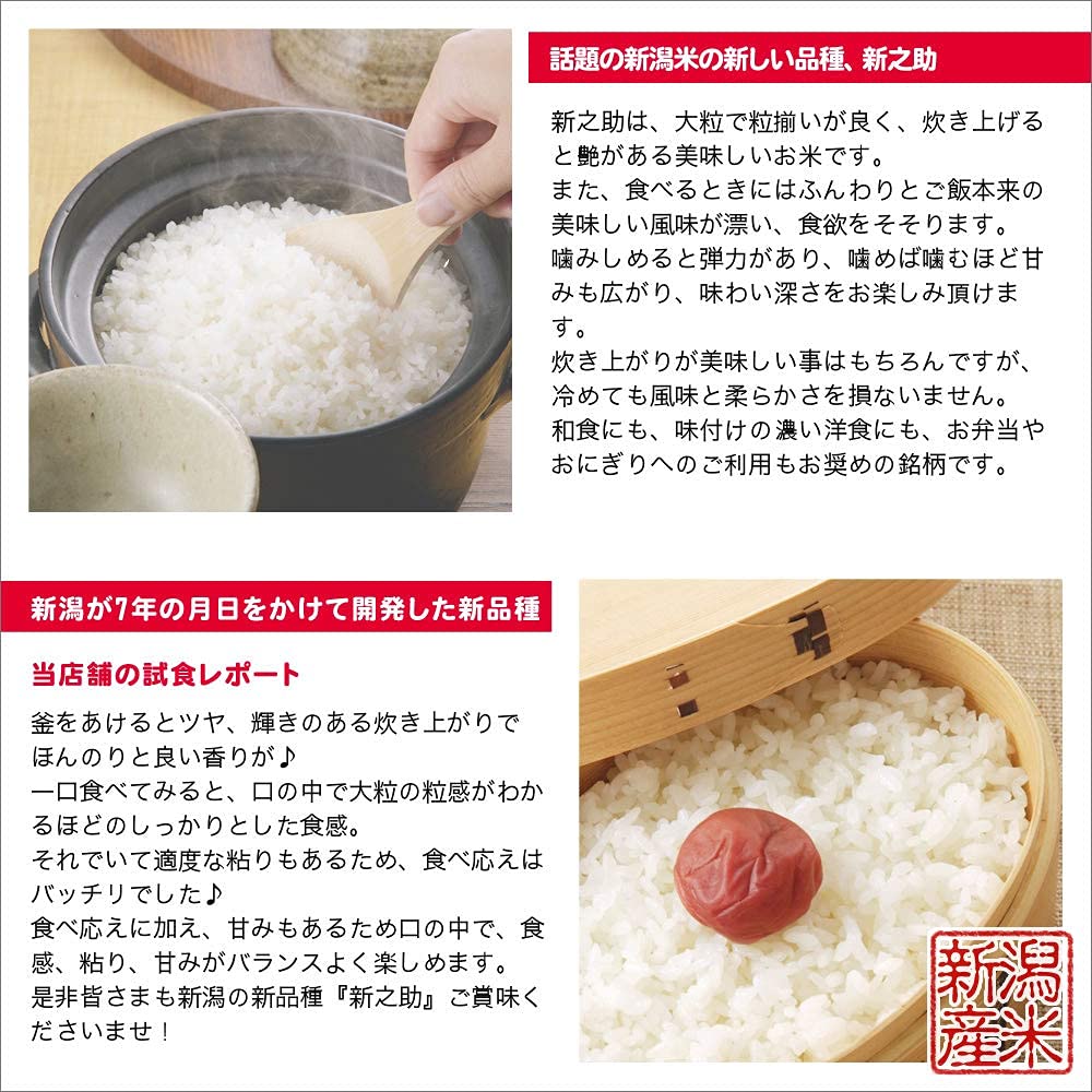 Amazon.co.jp: 新米予約 新潟県産 新之助 白米 10kg (5kg×2 袋) 令和6
