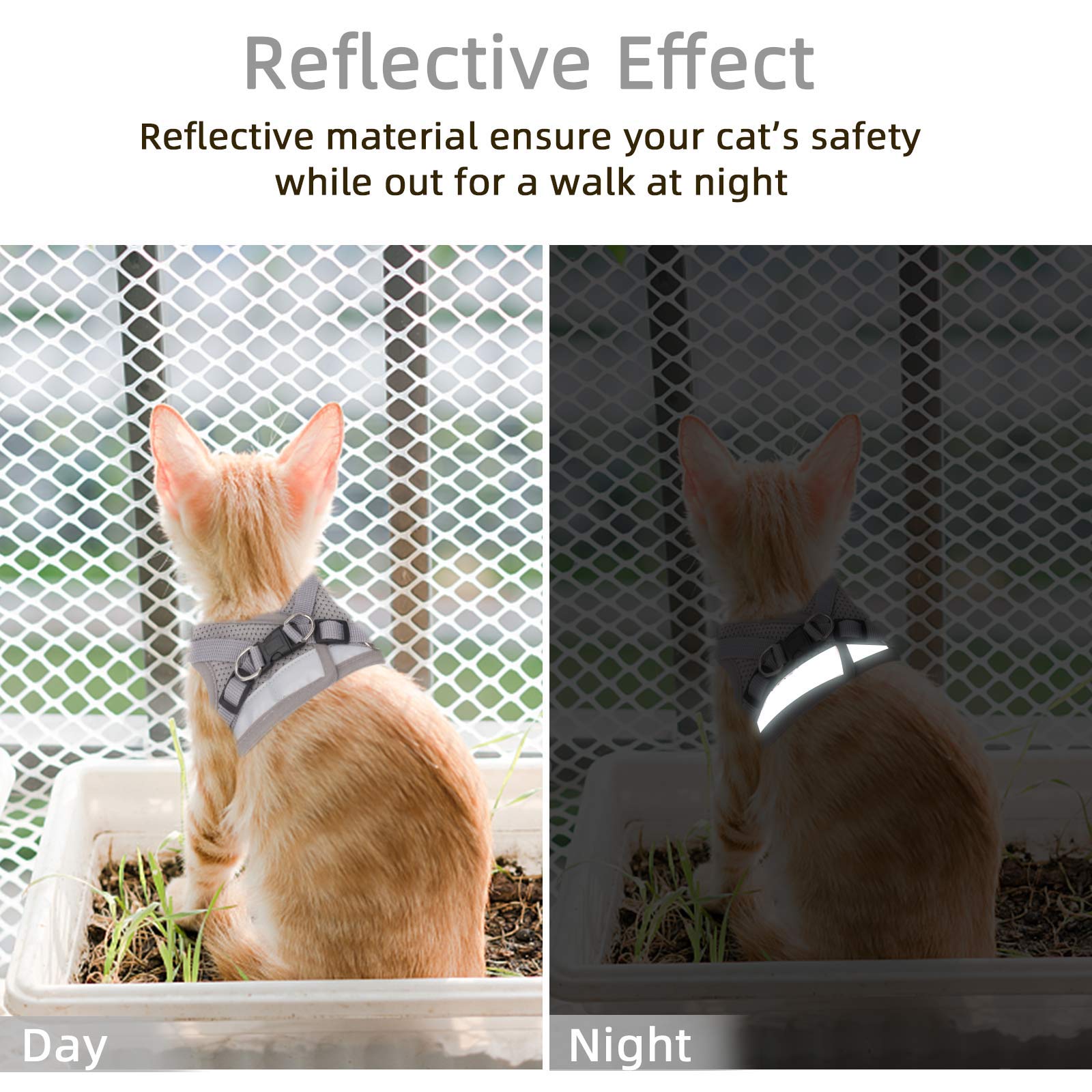Harnais pour chat et petit chien - Harnais pour la marche, tous les temps - Gilet pour chat avec sangle réfléchissante - Harnais réglable pour petits chats (gris, S)