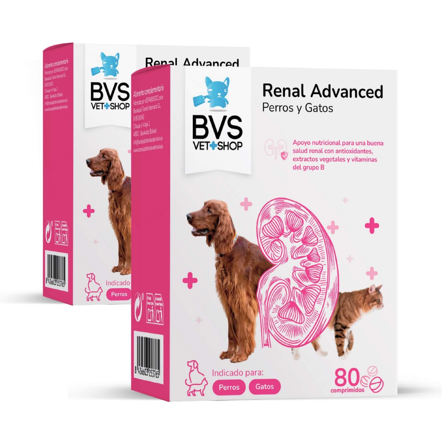 BVS Vet Shop | Renal Advanced para Perros y Gatos | para una Buena Salud renal con antioxidantes, extractos Vegetales y vitaminas del Grupo B | 80 Comprimidos