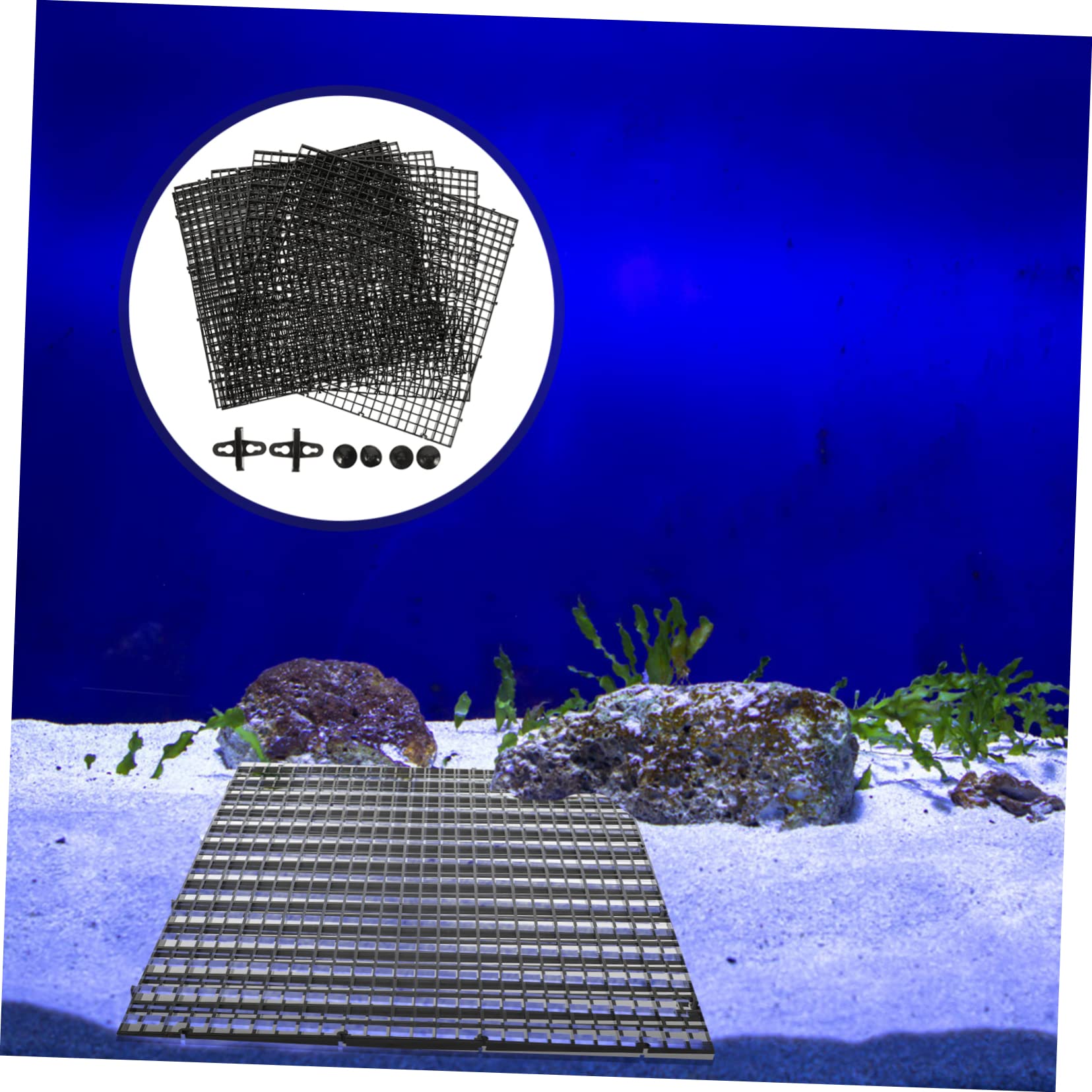 Angoily 1ensemble Plaques De Séparation pour Aquarium Isolante pour Répartition des Poissons Accessoire Pratique pour Aquariums avec Ventouses Noires