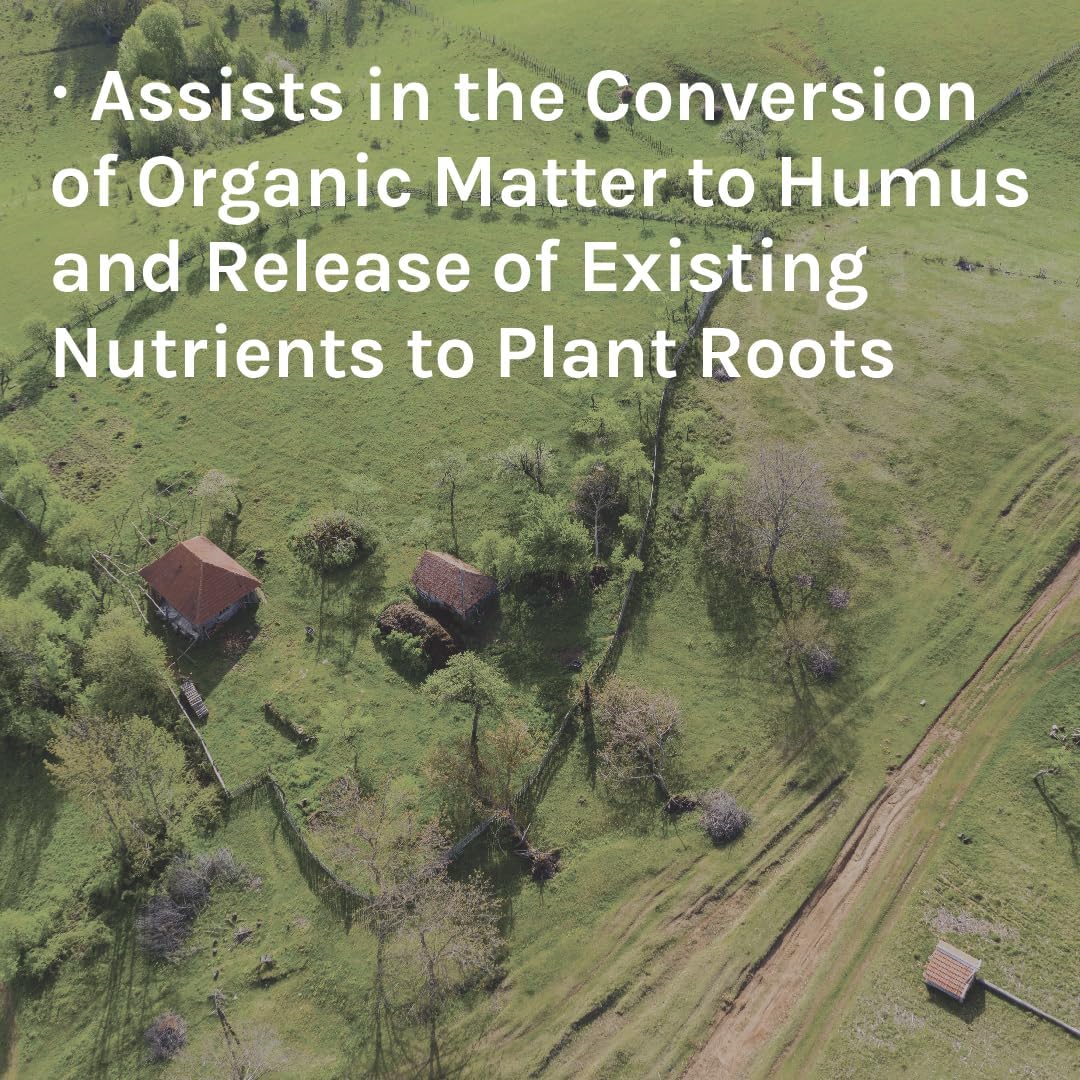 Planters ll | Trace Minerals to Support Healthy Plant Growth and Boost Microbial Life in The Soil | 40 lbs