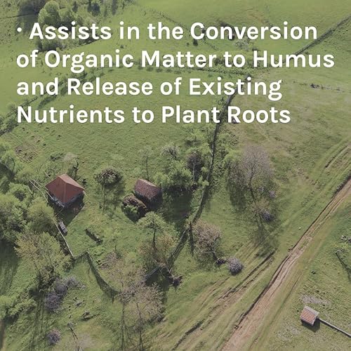Miniatura 3 de Planters ll  Traza minerales para apoyar el crecimiento saludable de las plantas y aumentar la vida microbiana en el suelo  40 libras
