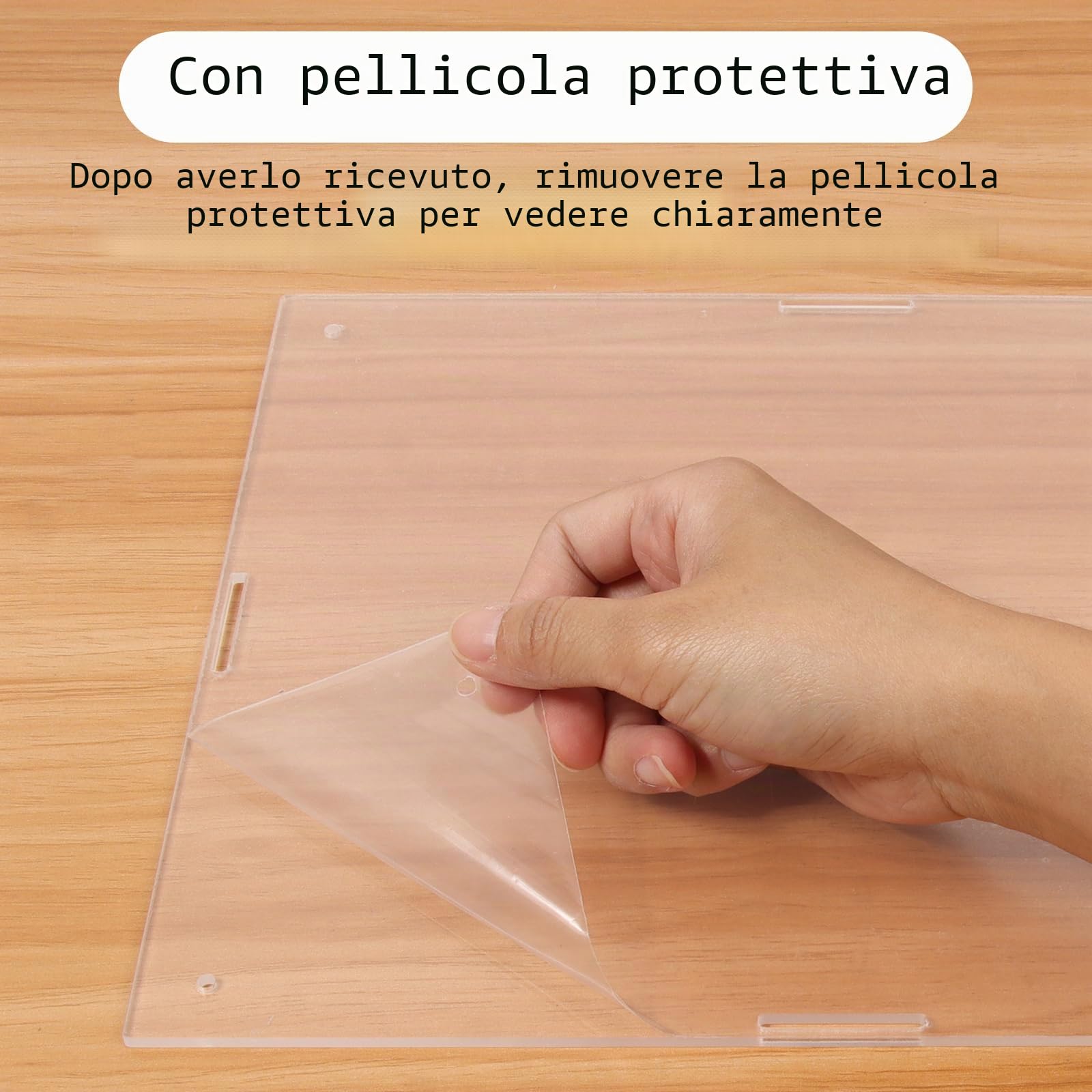 Serbatoio per terrario rettile, per terrario, grande, in acrilico trasparente per rettili e insetti, con temperatura igrometro, ragni terarium, scatola per la coltivazione dei rettili