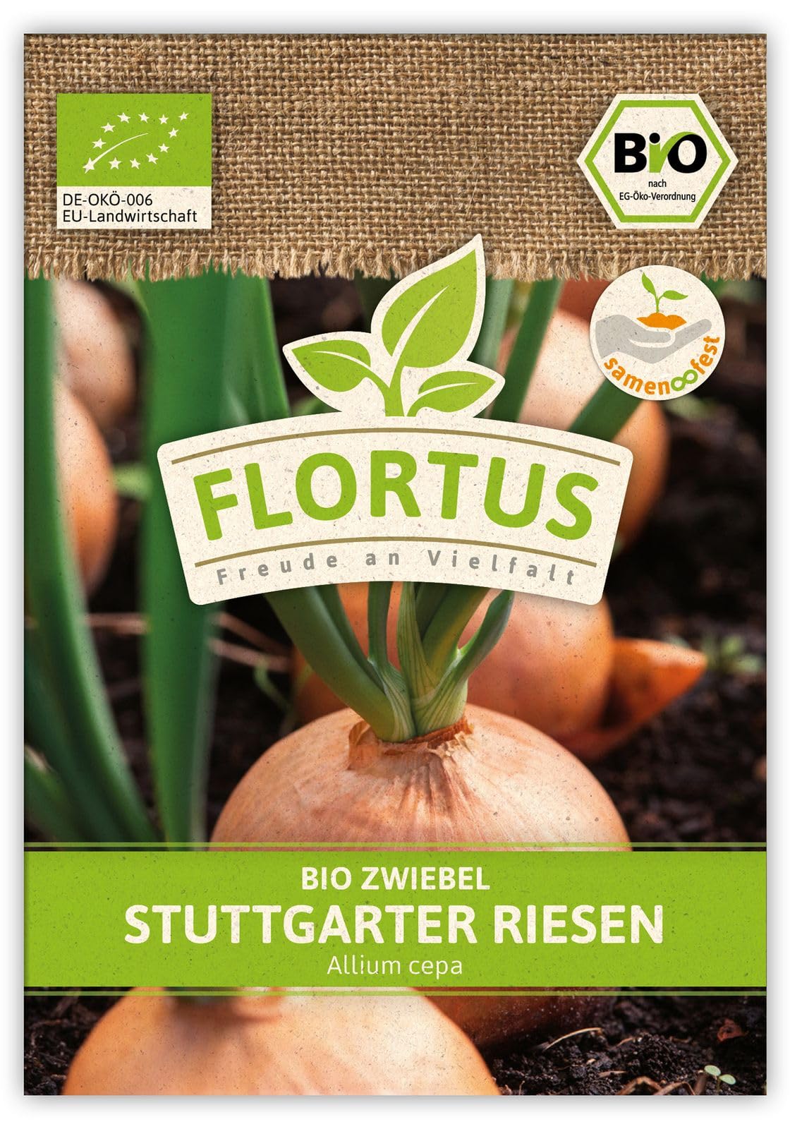 FLORTUS 2000-0517-100x Zwiebel Stuttgarter Riesen (100 Stück) (BIO Zwiebelsamen)