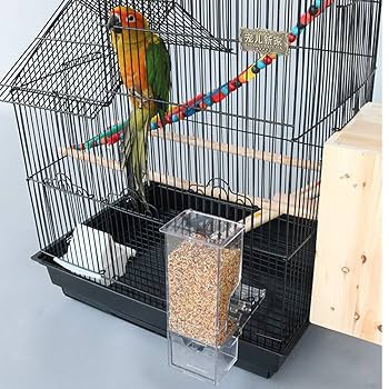 鳥用自動給餌器（小粒用） 61CYKCWfQJL._UF894,1000_QL80_.jpg